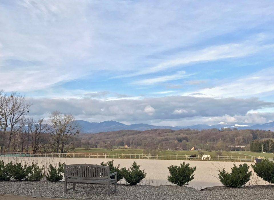 Haras d'exception à vendre en Alsace, 10ha d'un tenant
