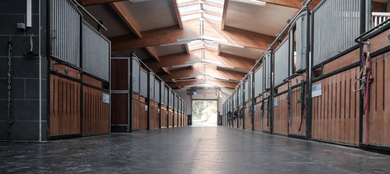 Haras d'exception à vendre en Alsace, 10ha d'un tenant