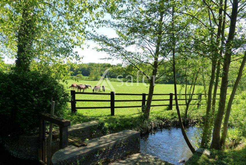 Structure Equestre 17ha