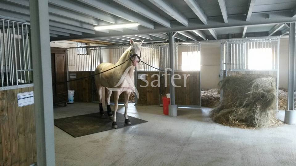 Structure Equestre 17ha