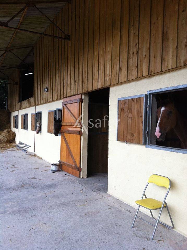 Structure Equestre 17ha