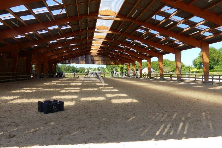Structure Equestre 17ha