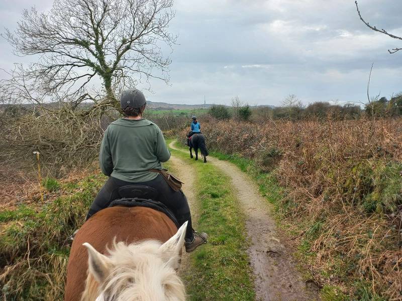 Balades et randonn&eacute;es &agrave; cheval en Bretagne