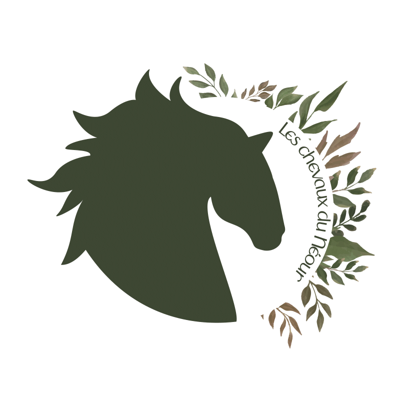 Balades et randonn&eacute;es &agrave; cheval en Bretagne