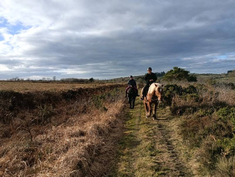 Balades et randonn&eacute;es &agrave; cheval en Bretagne