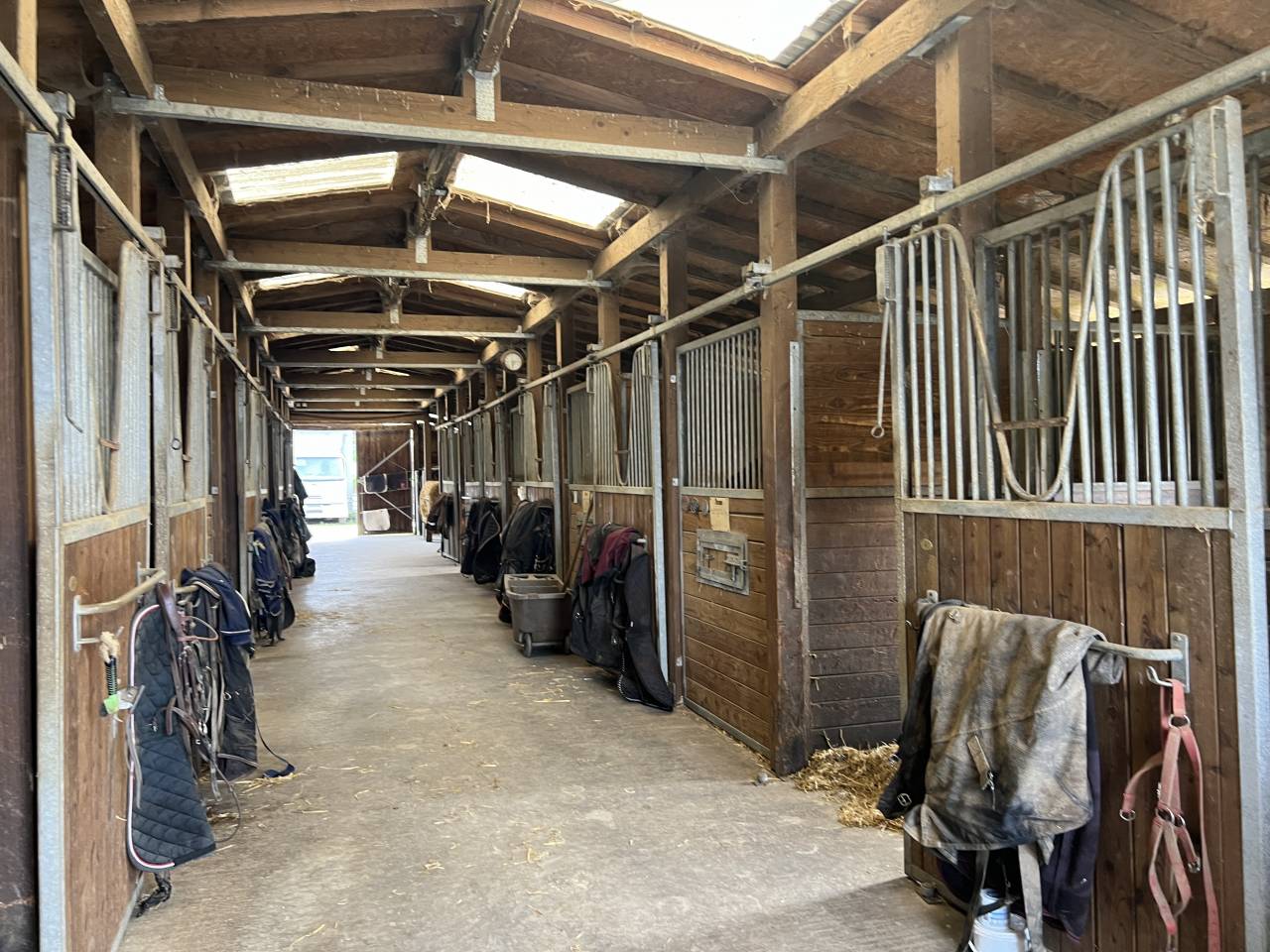 Proche de Pompadour, Cit&eacute; du Cheval,