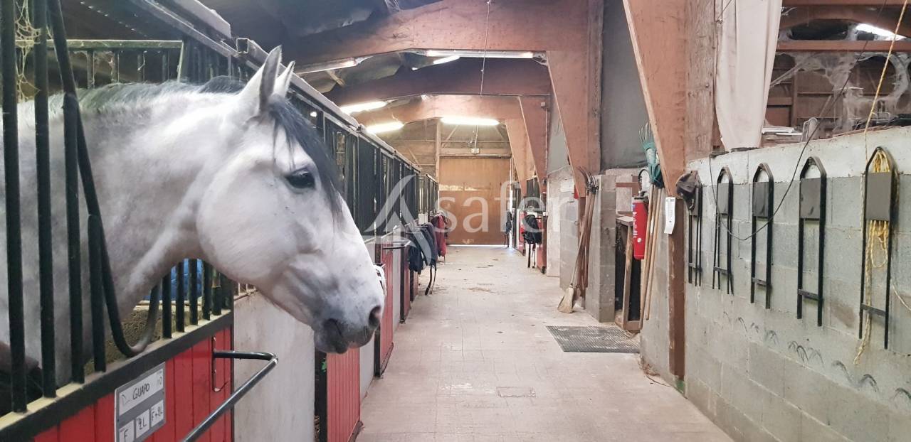 Centre équestre de BLAVOZY