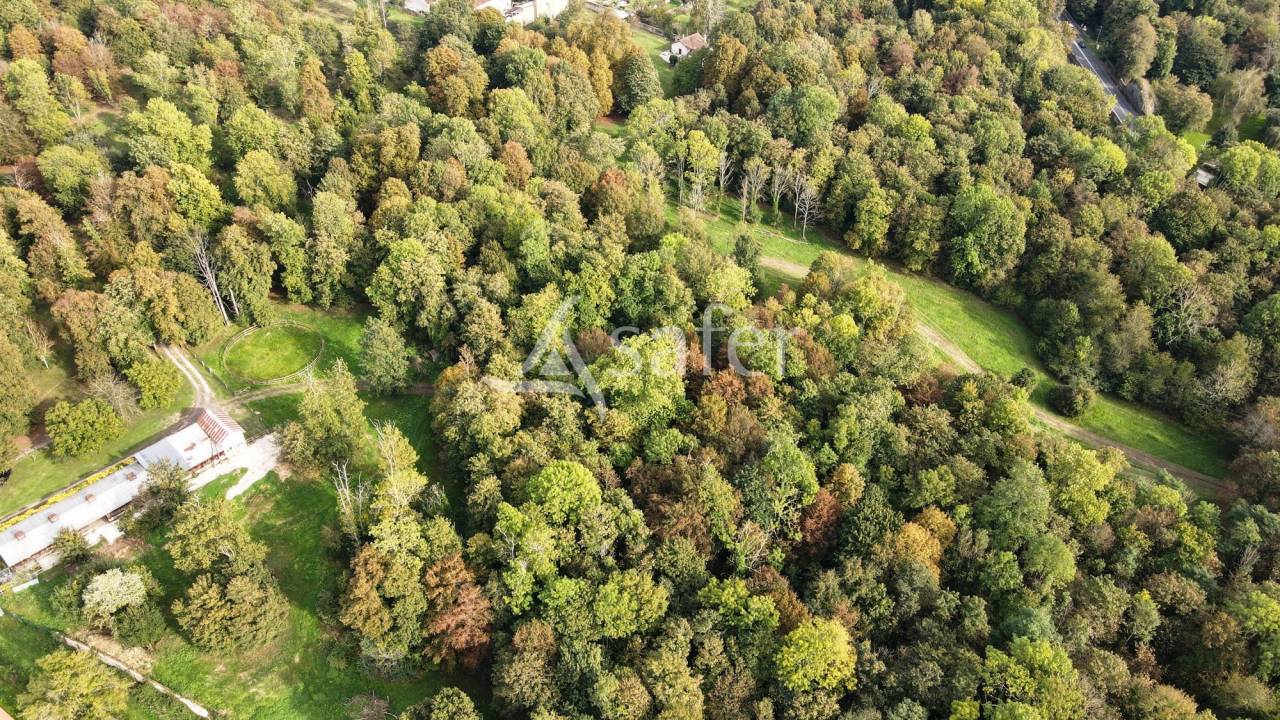 Propriété Bâti entourée d'un parc arborée clos