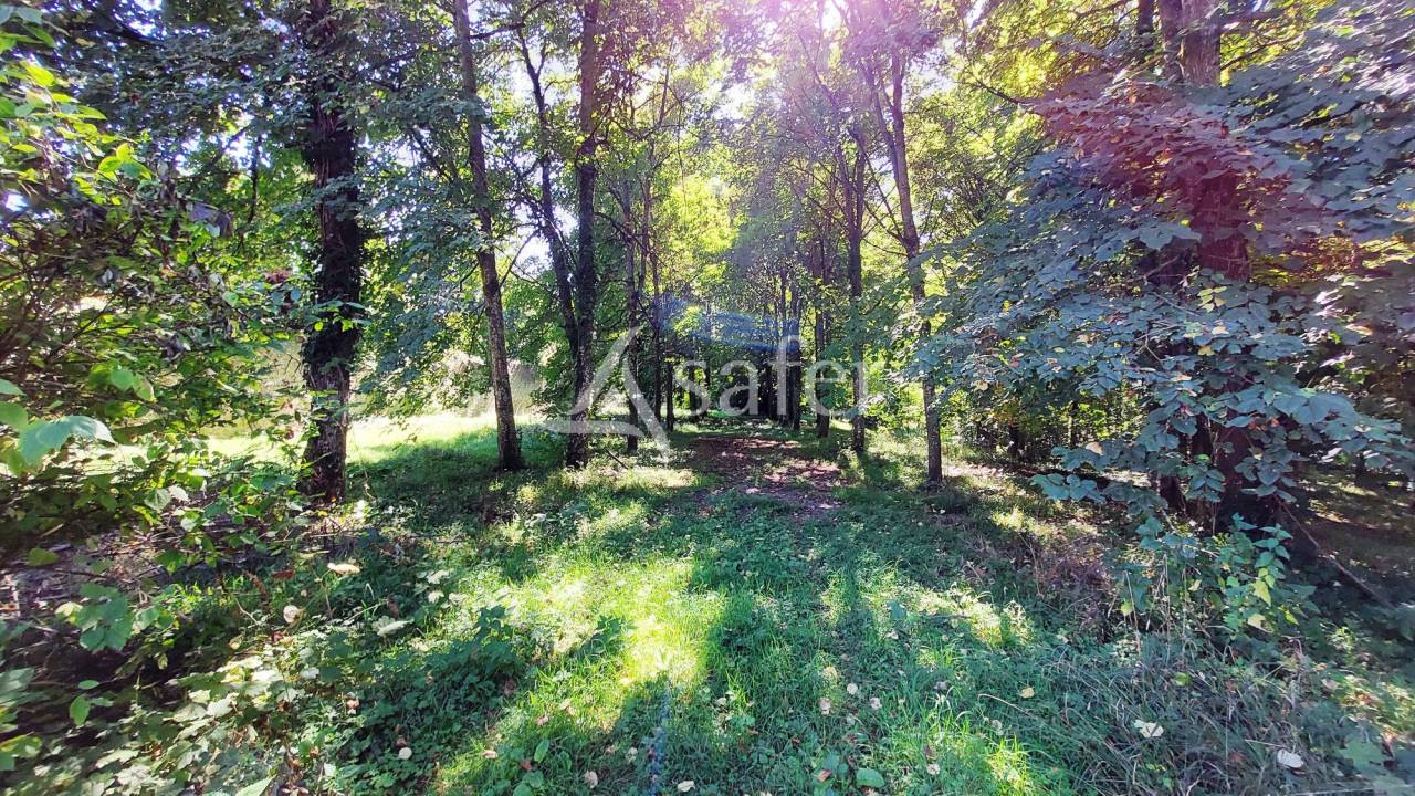 Propriété Bâti entourée d'un parc arborée clos