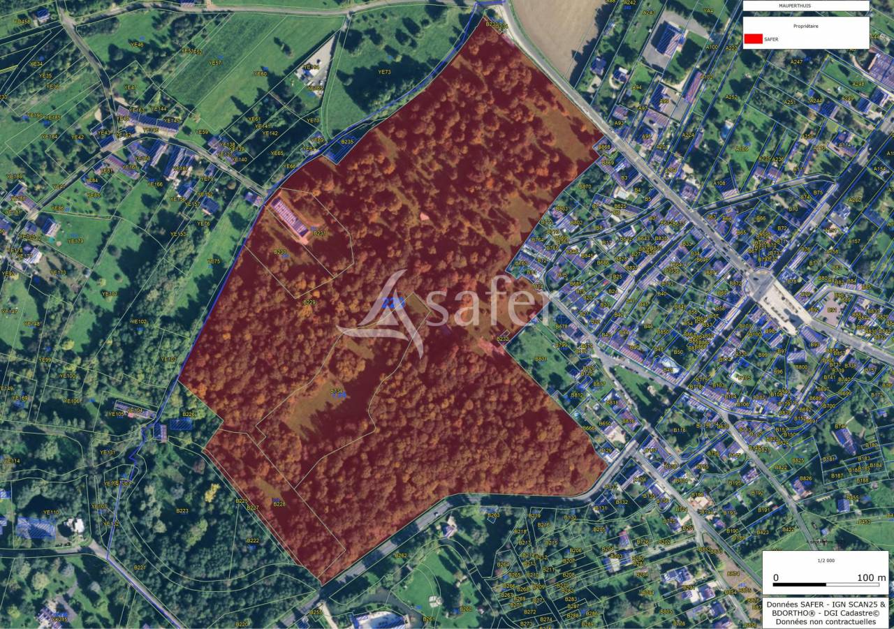 Propriété Bâti entourée d'un parc arborée clos