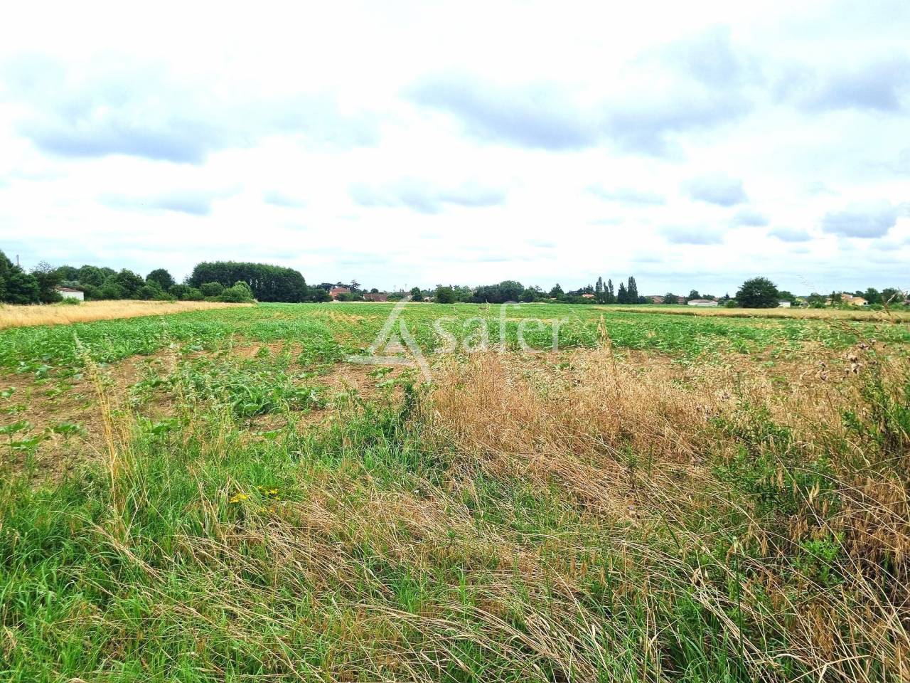 Proche de Montech ancien corps de ferme 185 m² à rénover sur
