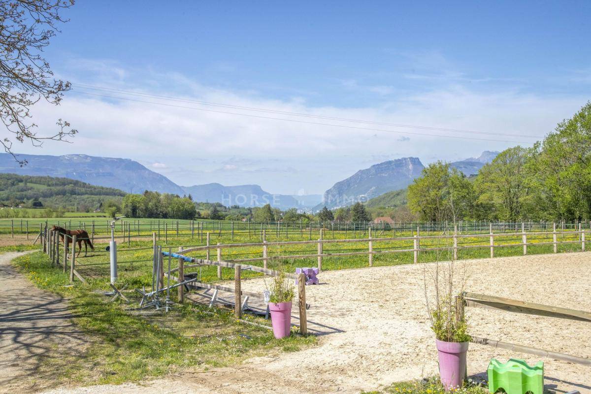 Ecurie de propriétaire de standing