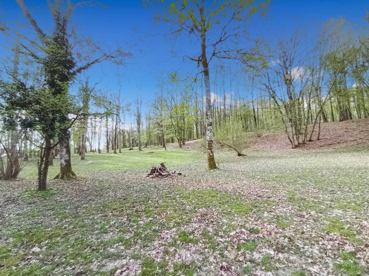 Proprieté en lisiere de forêt de Rambouillet sur 10ha