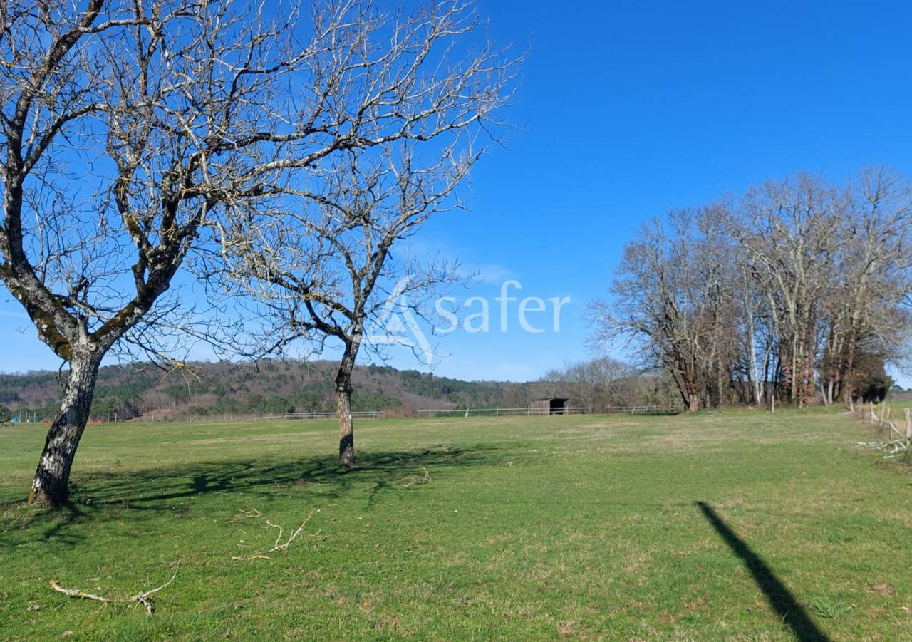 Belle propri&eacute;t&eacute; b&acirc;tie sur 18ha de pr&eacute;s et bois en P&eacute;rigord