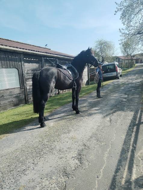 Arabofrison Champion Modele & Allure classe C/D  AFCAF 