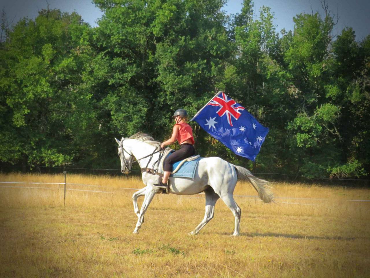 La méthode équine Impériale vous présente les chevaux..