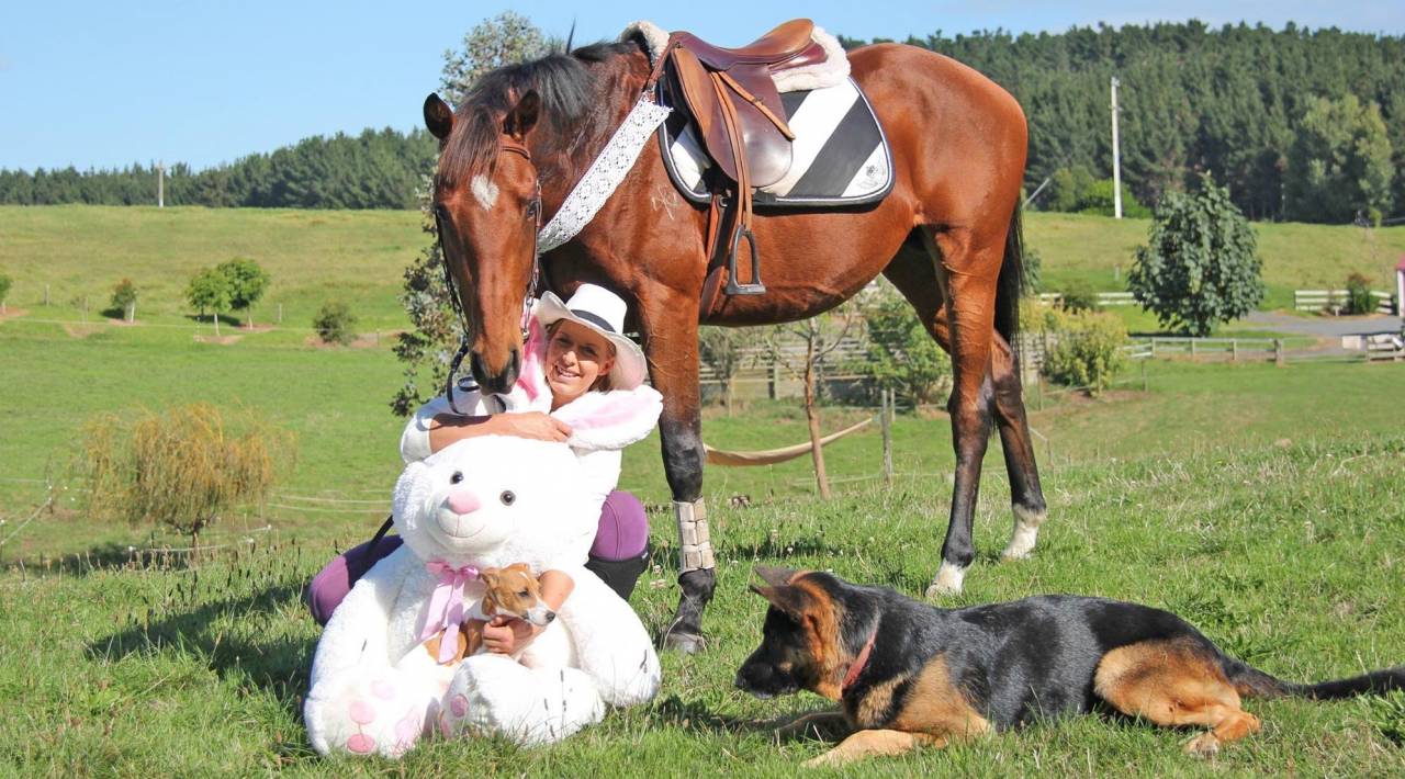 La méthode équine Impériale vous présente les chevaux..