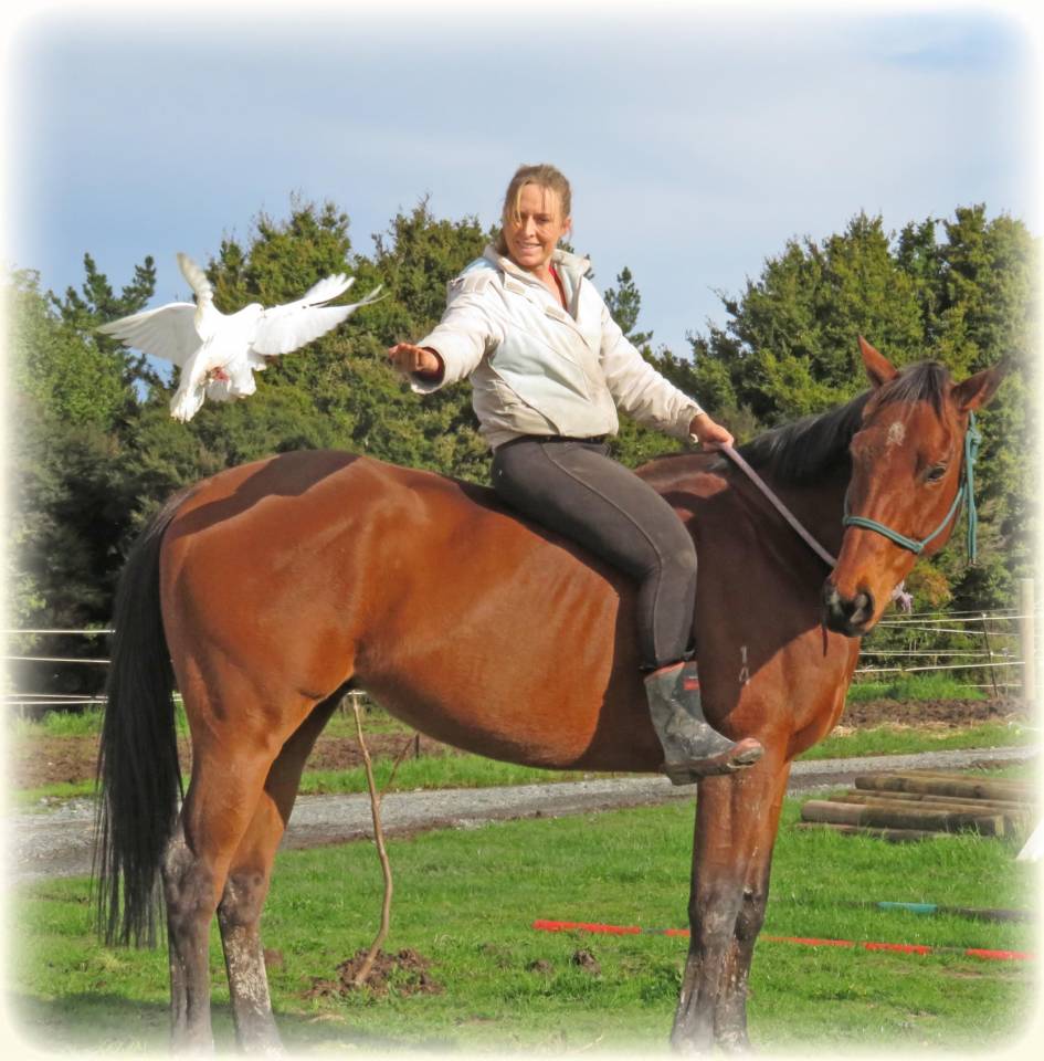 La méthode équine Impériale vous présente les chevaux..