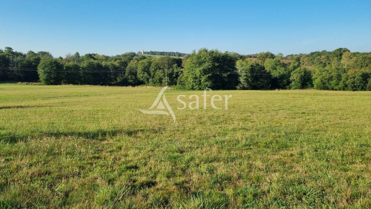 Proche Nogaro - Propriété de 44ha avec retenue d'eau