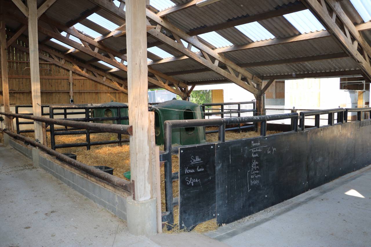 HARAS 23 HA ENTRE LISIEUX ET PONT - L'EVÊQUE