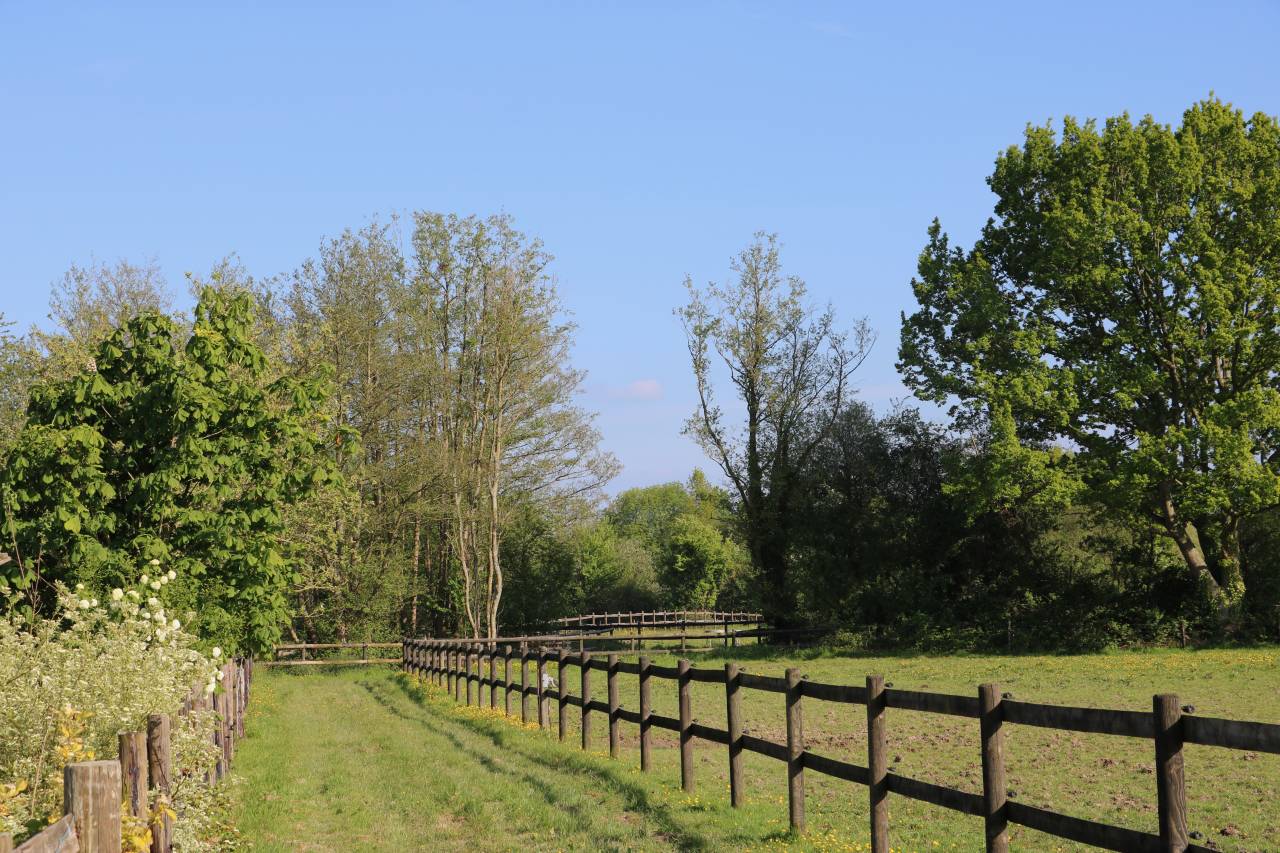HARAS 23 HA ENTRE LISIEUX ET PONT - L'EVÊQUE