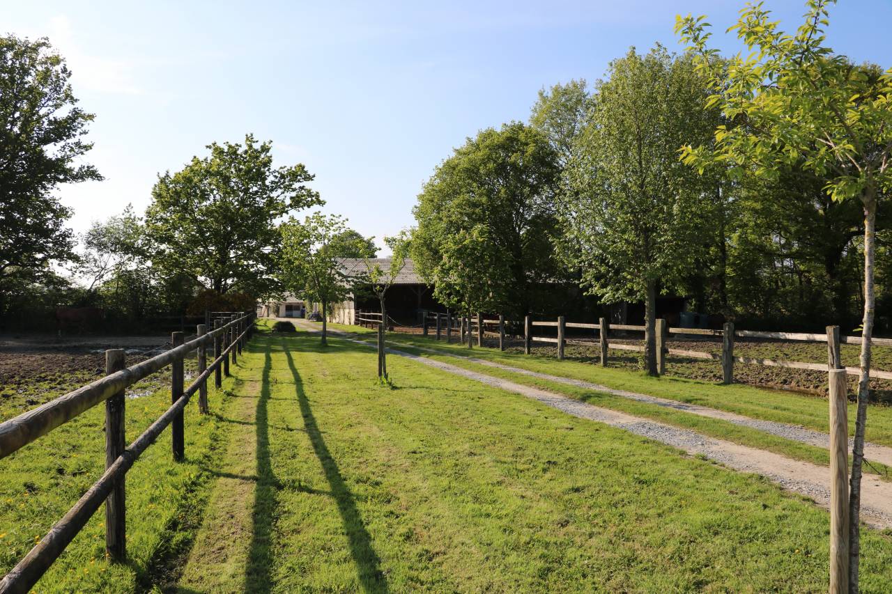 HARAS 23 HA ENTRE LISIEUX ET PONT - L'EVÊQUE