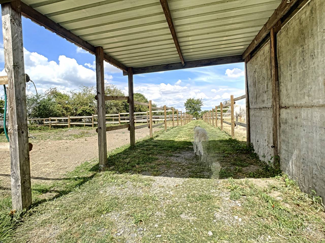 Un havre de Paix pour vos chevaux