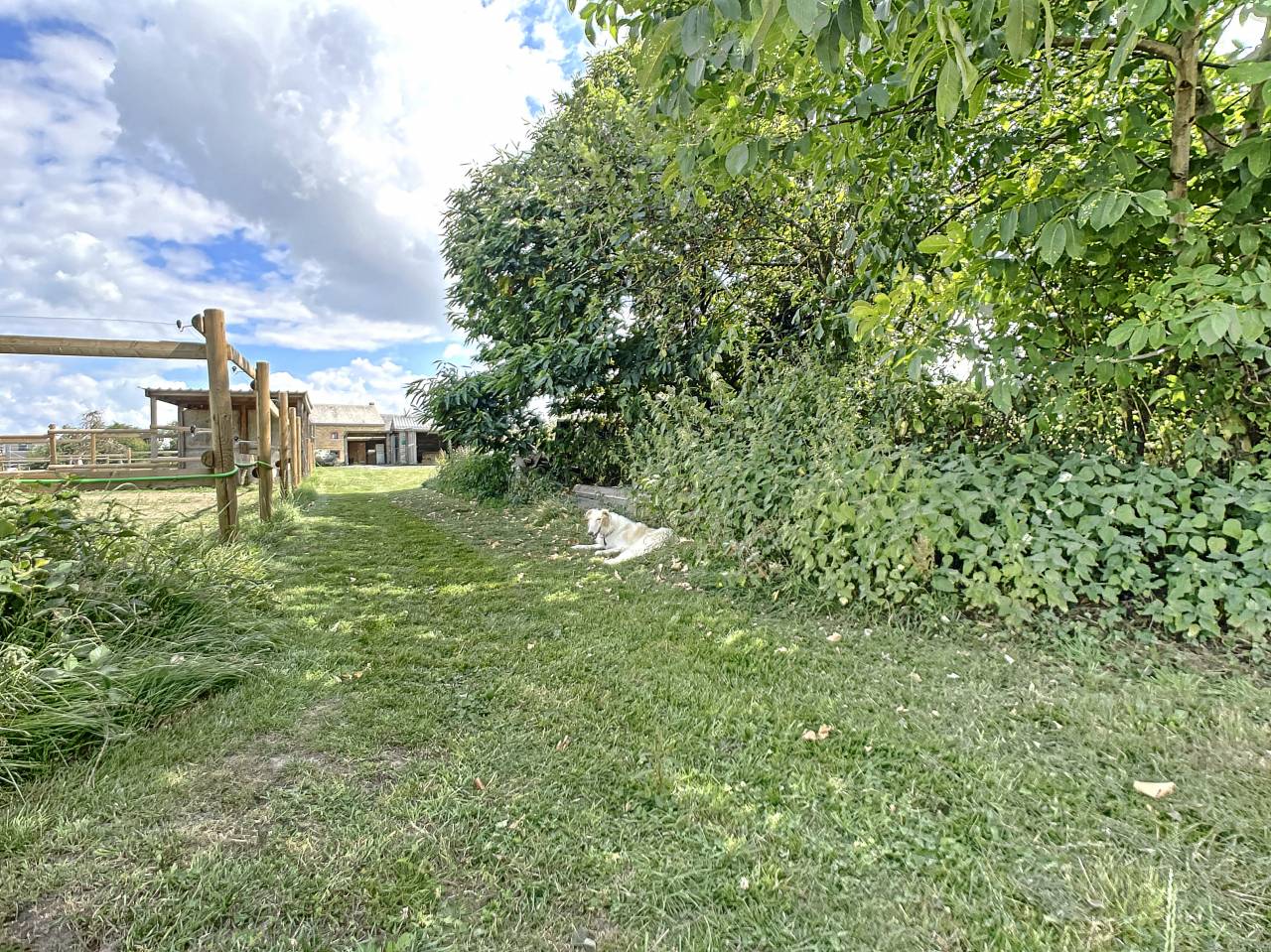 Un havre de Paix pour vos chevaux