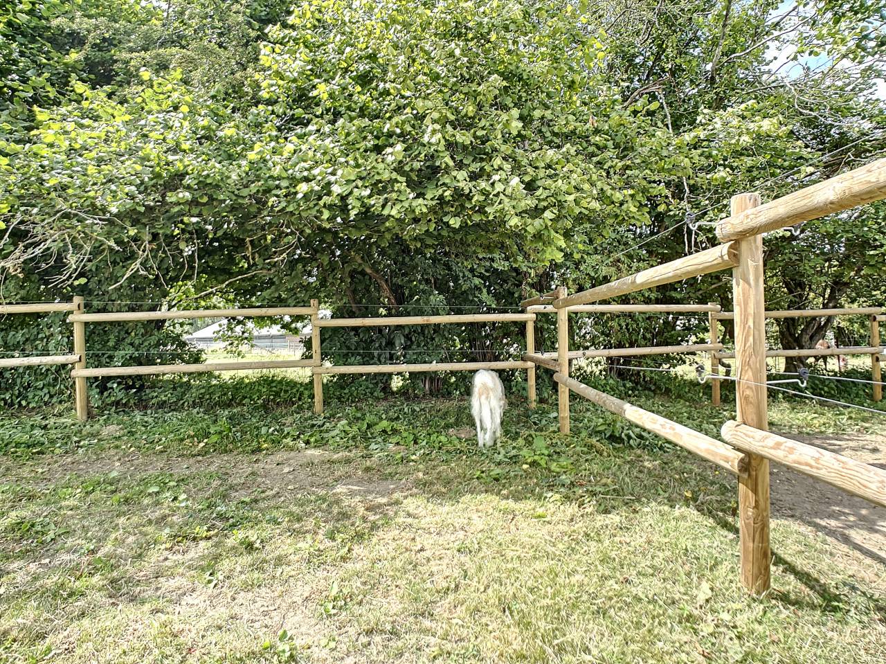 Un havre de Paix pour vos chevaux