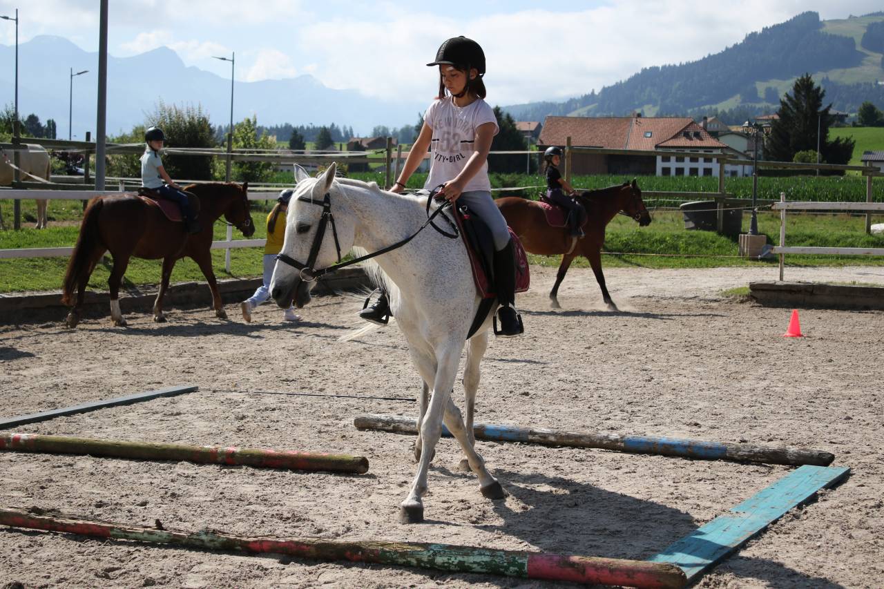 Camps d'équitation Automne 2025