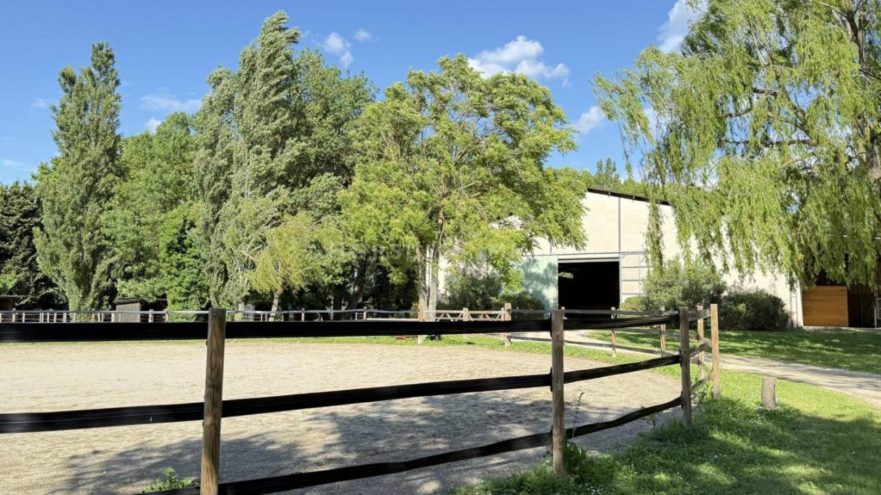 St Rémy de Provence - Splendide propriété équestre