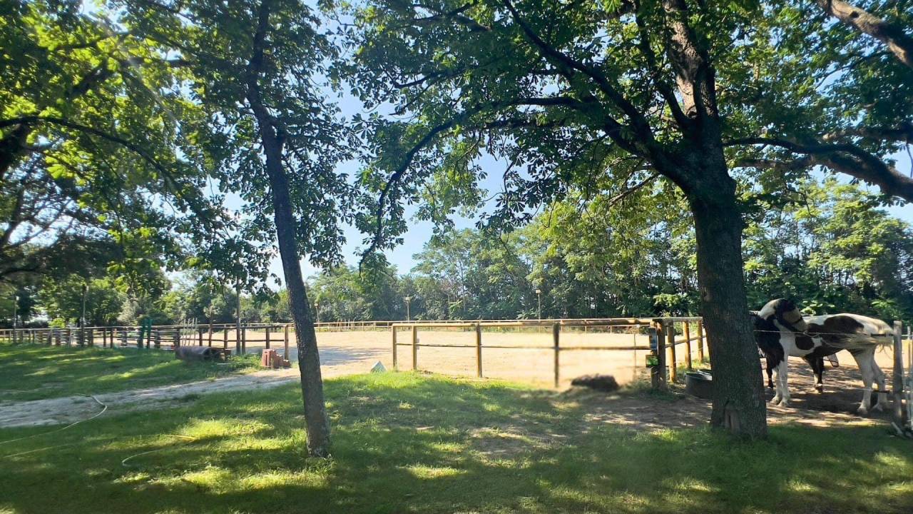 SOUS COMPROMI  - Domaine d'exception de 4 hectares (11)