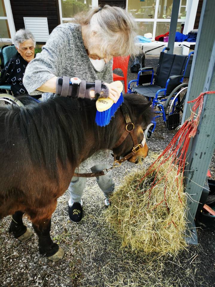 Rech poste monitrice &eacute;quihandi