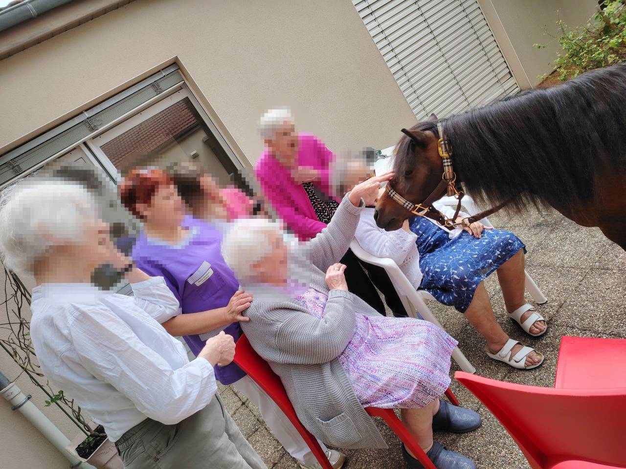 Rech poste monitrice &eacute;quihandi