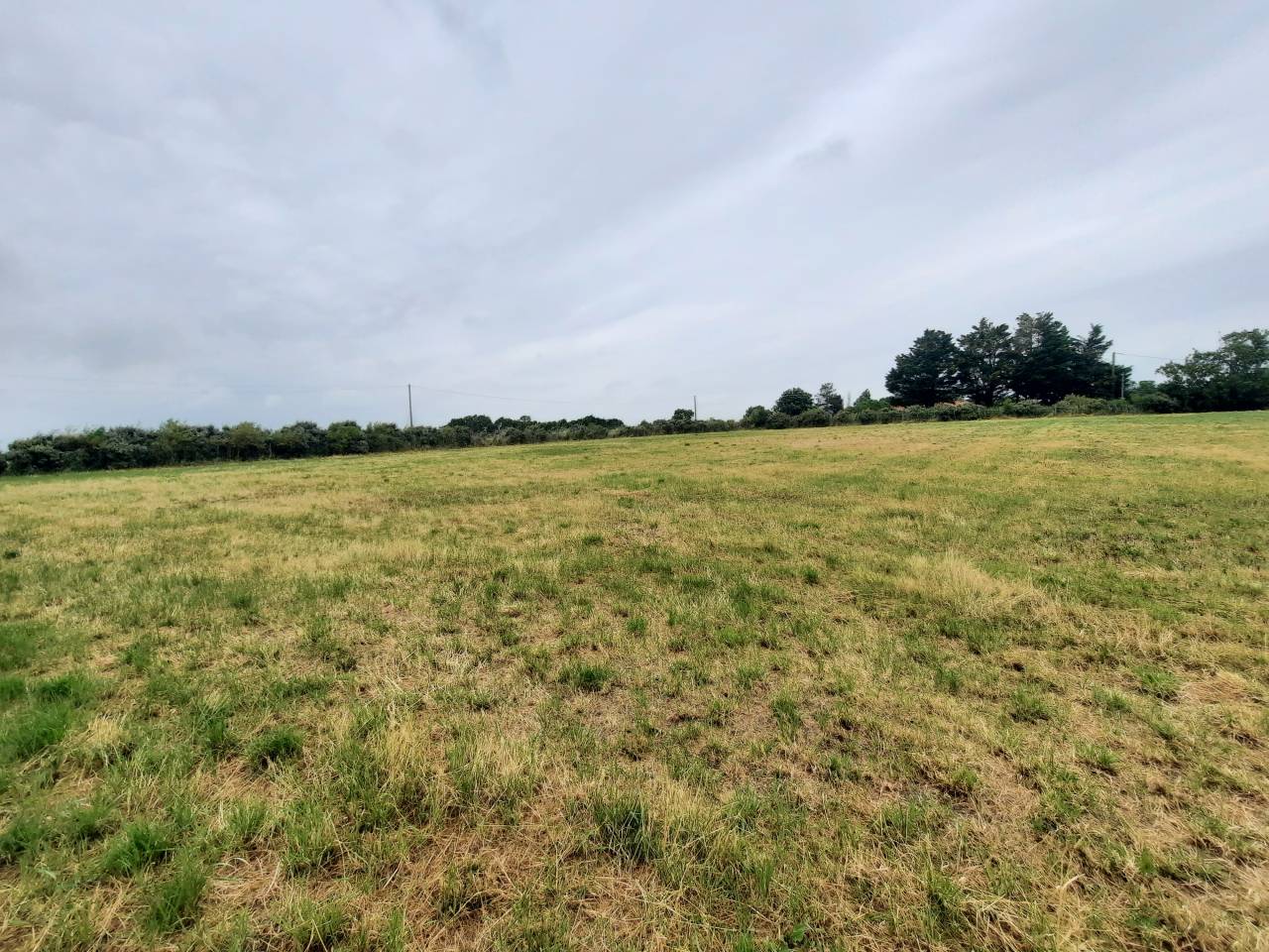 Propriété équestre CHARRON (17) sur 1,3 ha