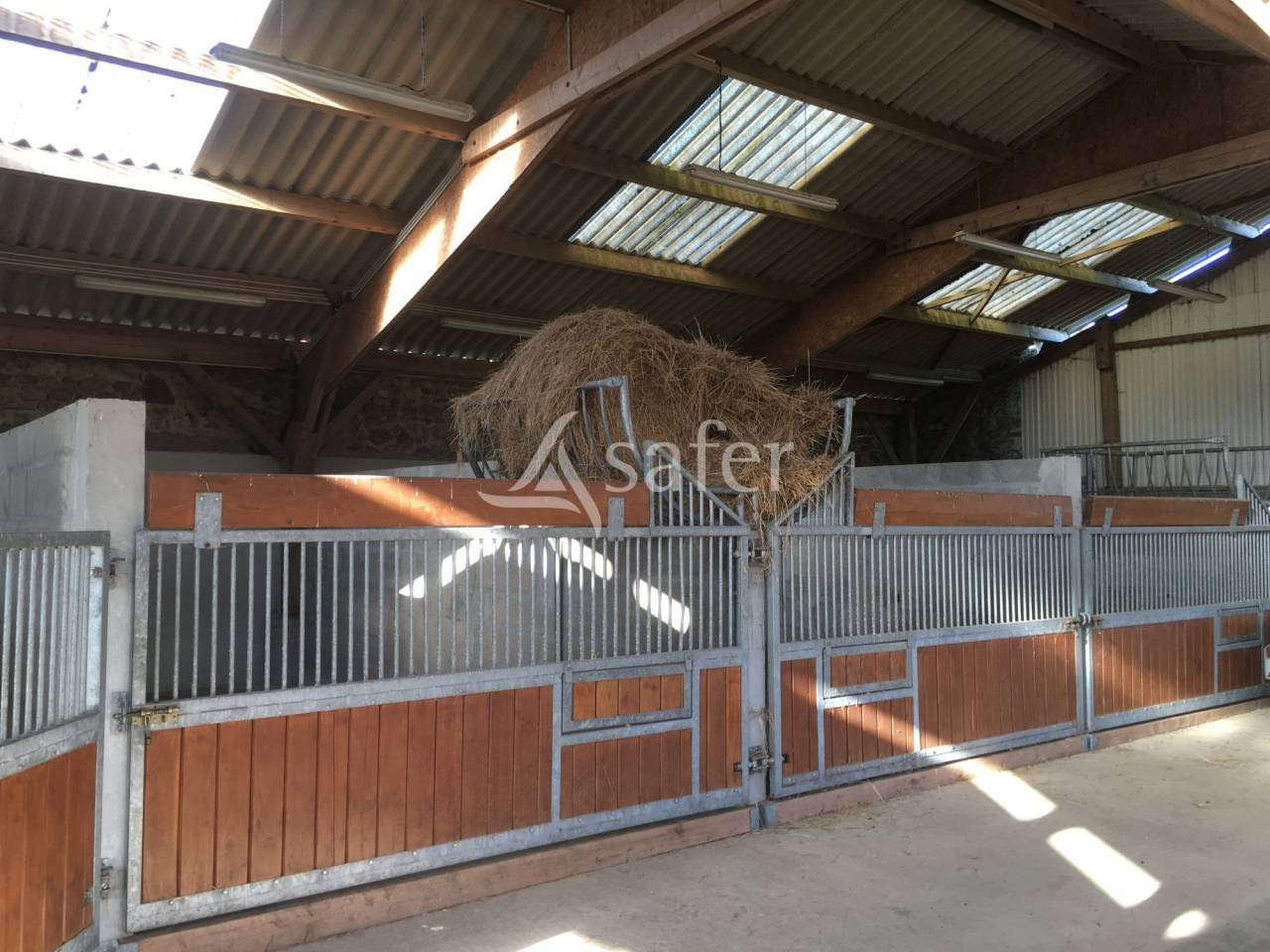 Propri&eacute;t&eacute; &eacute;questre