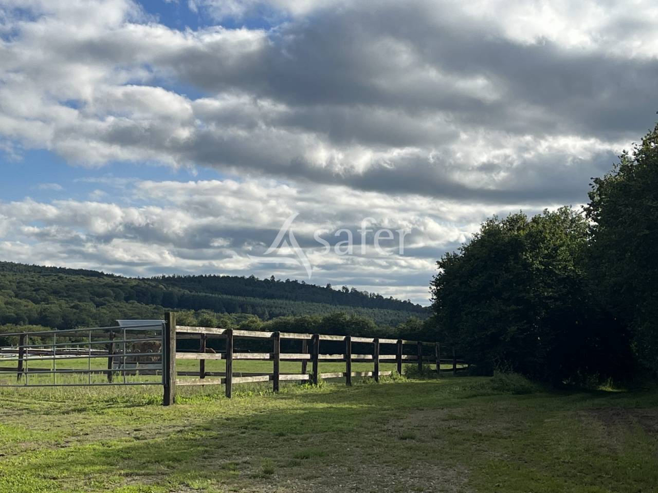 Propri&eacute;t&eacute; &eacute;questre