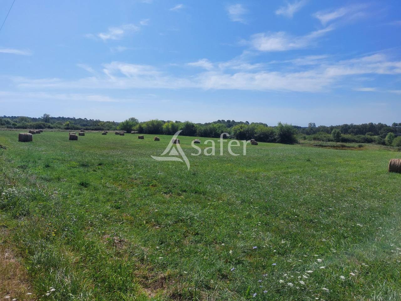 Corps de ferme sur 18ha proche Monpazier