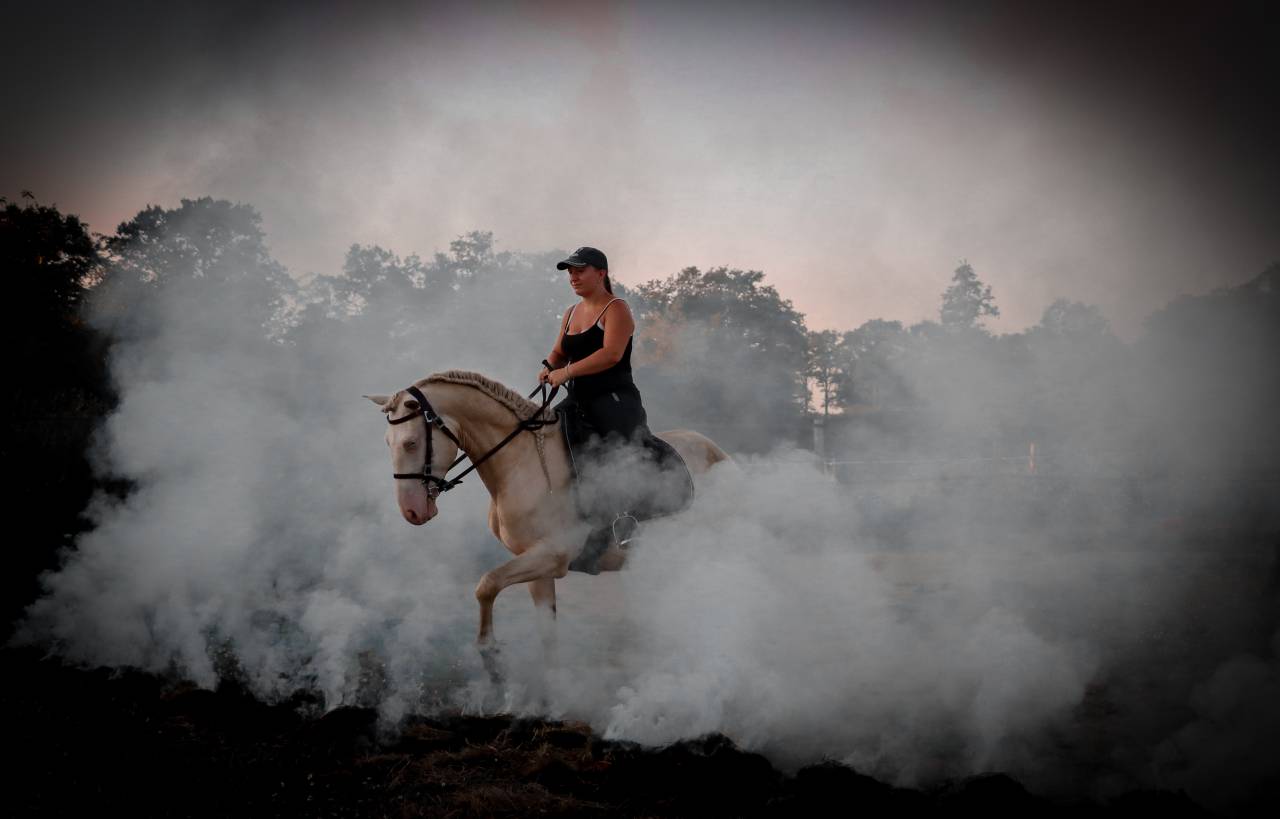 Etalon ibérique Perlino