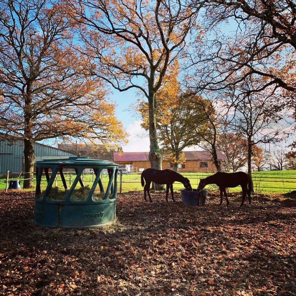 Proche Bourbon l'Archambault
