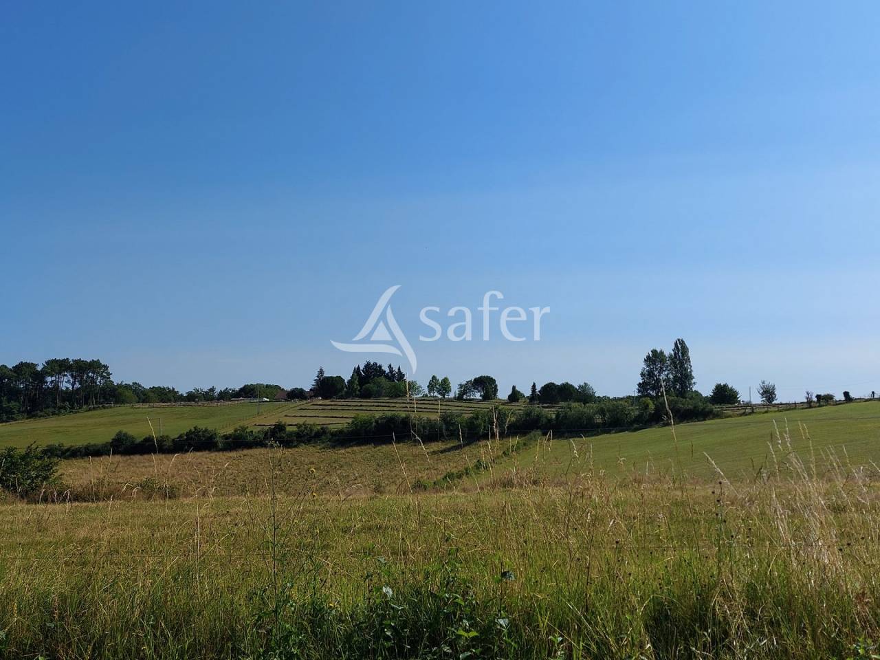 Propri&eacute;t&eacute; en pierre sur 42ha, proche P&eacute;rigueux