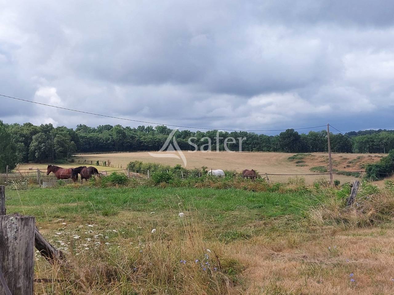 Propri&eacute;t&eacute; en pierre sur 42ha, proche P&eacute;rigueux