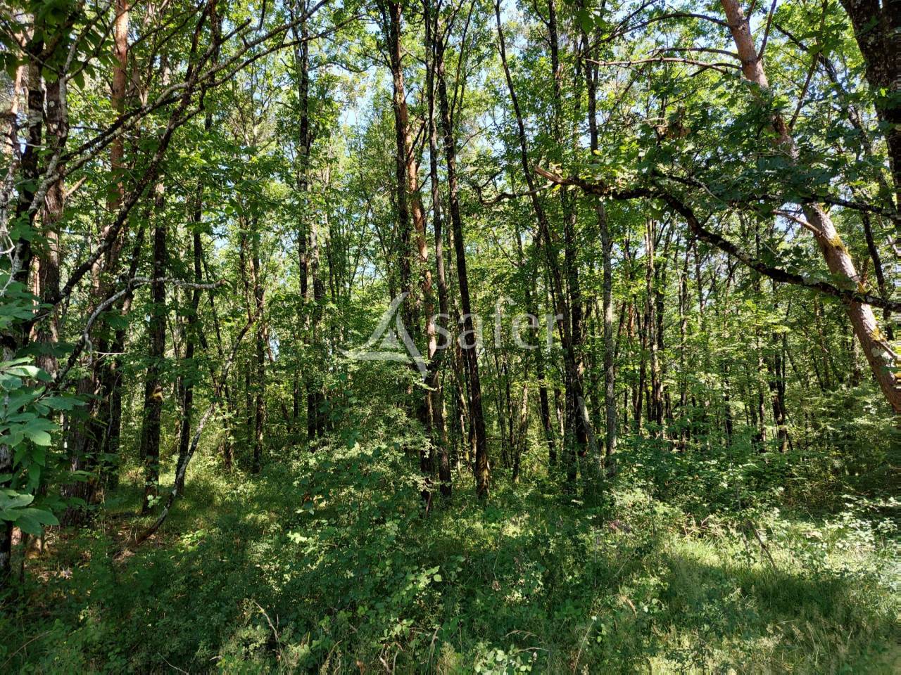 Propri&eacute;t&eacute; en pierre sur 42ha, proche P&eacute;rigueux