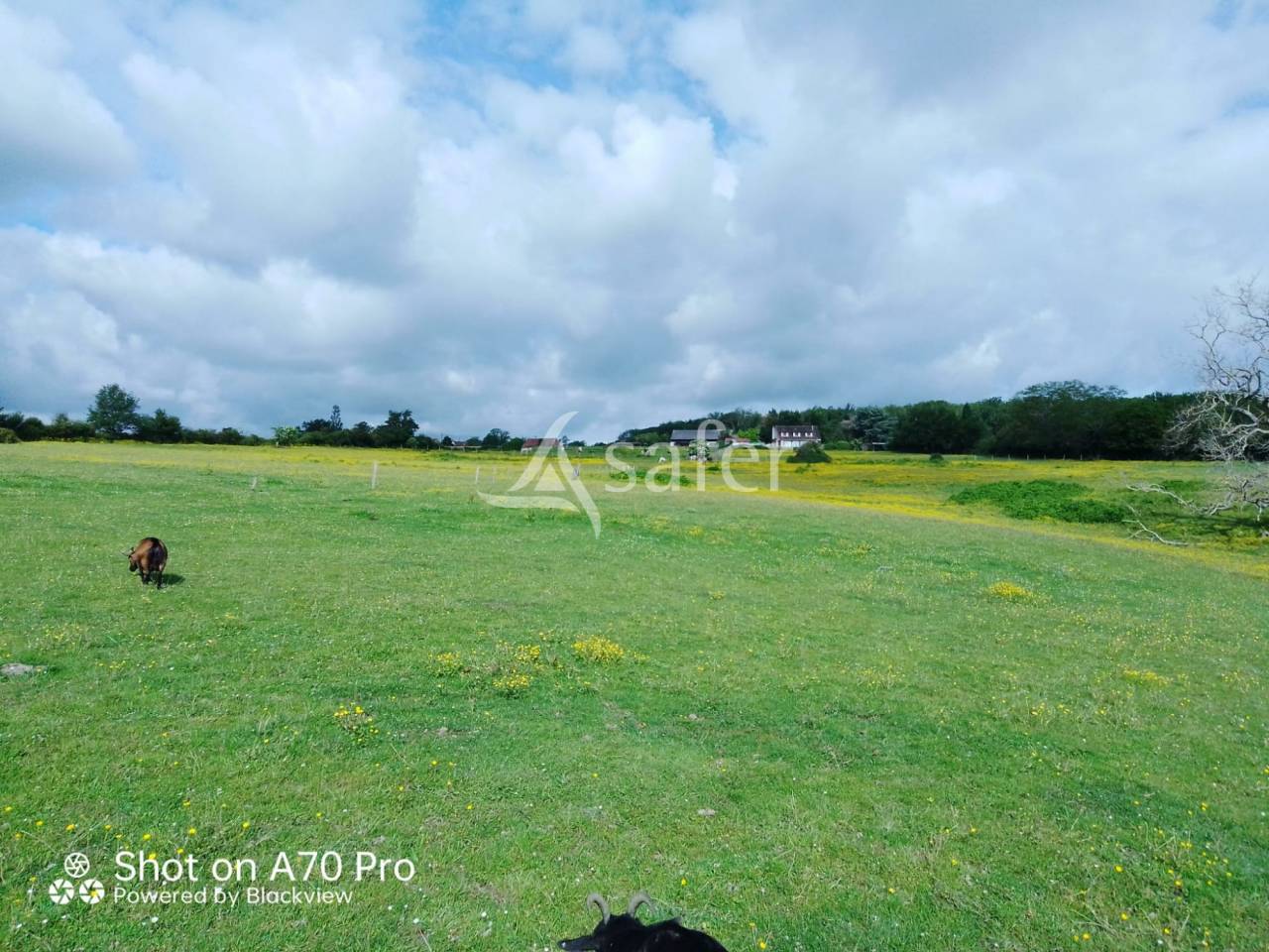 Propriété équestre - Secteur Vichy