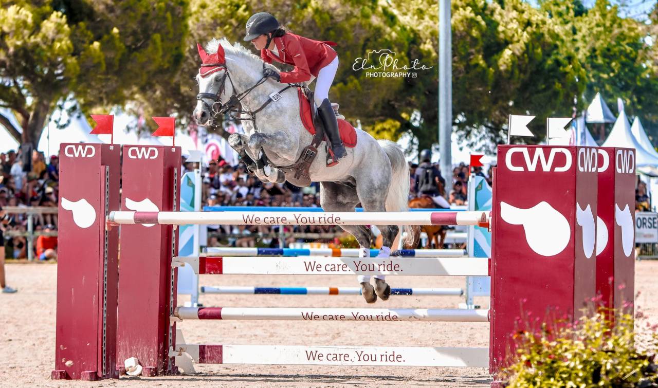 poney de grand prix