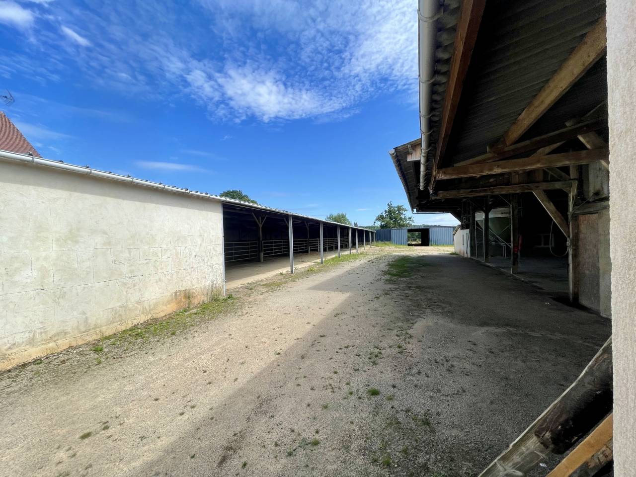 MORTAGNE-AU-PERCHE  – HARAS – 20HA 