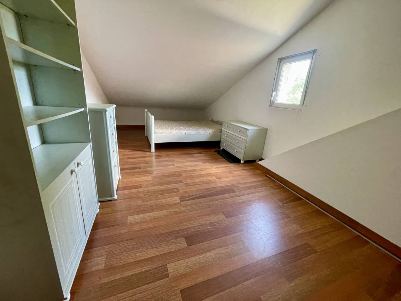 MORTAGNE-AU-PERCHE  – HARAS – 20HA 