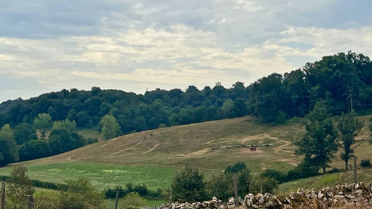 Propriété équestre de 32ha (46)