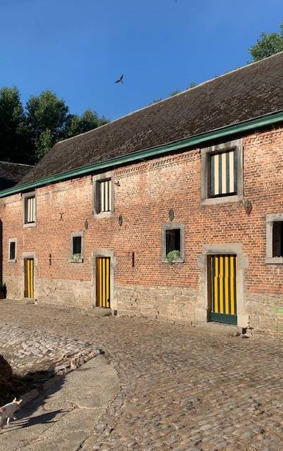 Pension pour chevaux ou poneys