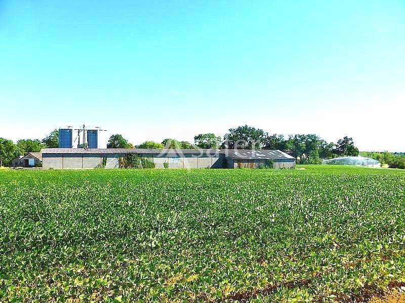 A reprendre en Quercy caussadais, rare et beau Domaine agricole